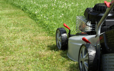 The Environmentalist Left’s Latest Demand: Don’t Mow Your Lawn