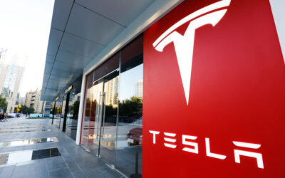 Tesla Sales Collapse Without Subsidies